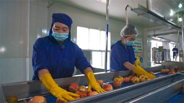 1758161495981906.png 圖片8.png