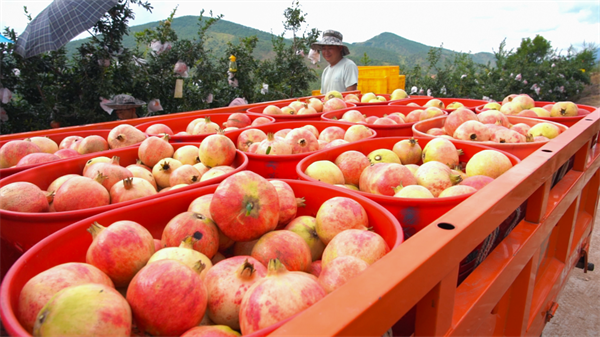 1758161521772826.png 圖片10.png