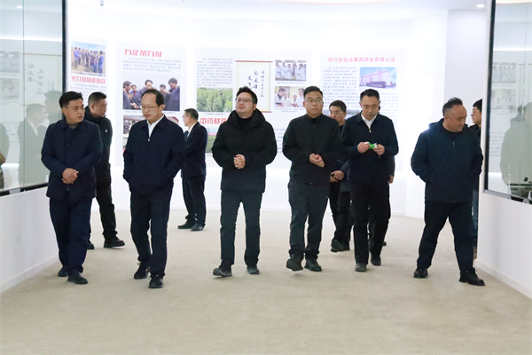 1769564383378474.jpg 1.jpg