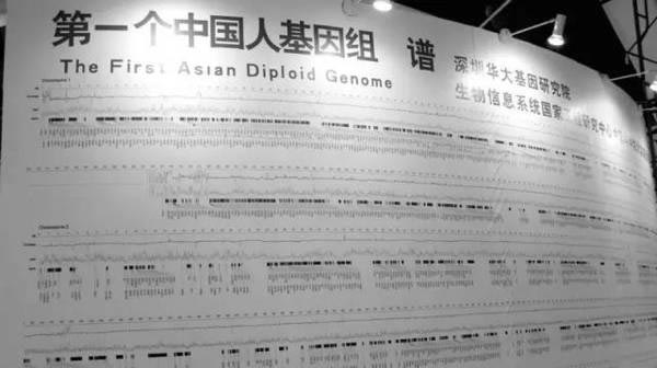 人類基因組計劃